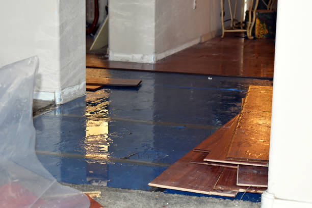 Professional Water Extraction technician working in McComb, OH